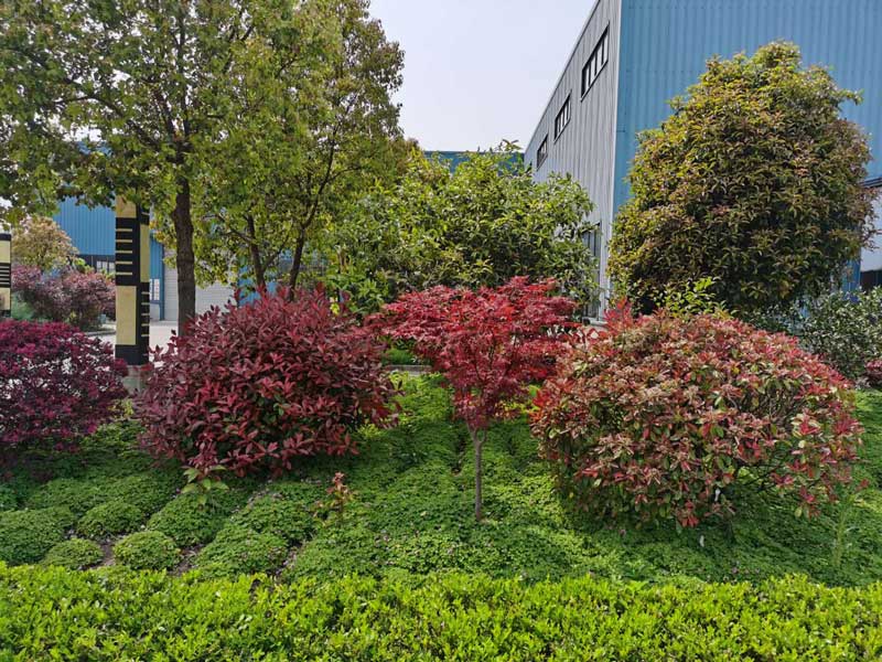 廠(chǎng)區(qū)一角